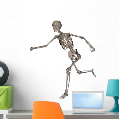 Front Human Skeleton Running Wall Decal shown on a wall