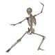 Front Human Skeleton Fighting Wall Decal