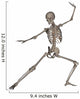 Front Human Skeleton Fighting Wall Decal