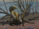 Deinonychus Protects Its Kill Wall Decal