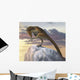 Talos Sampsoni Small Troodontid Wall Decal
