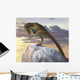 Talos Sampsoni Small Troodontid Wall Decal