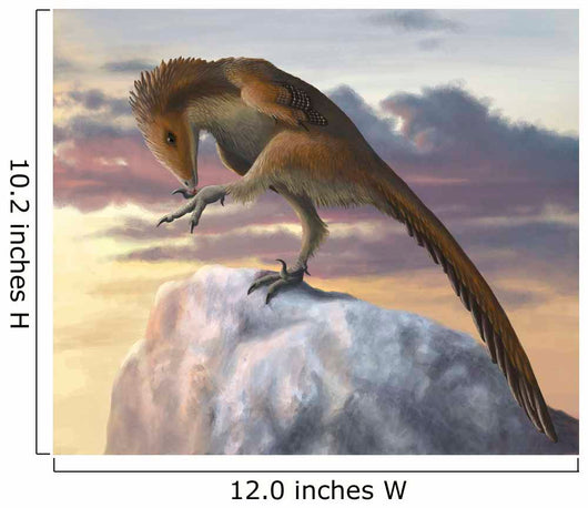 Talos Sampsoni Small Troodontid Wall Decal
