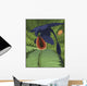 Microraptor Gui Snacking Cycad Wall Decal