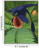Microraptor Gui Snacking Cycad Wall Decal