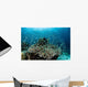 Damselfish Swim above Corals Wall Decal Design 3