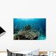 Damselfish Swim above Corals Wall Decal Design 3
