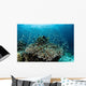 Damselfish Swim above Corals Wall Decal Design 3