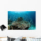 Damselfish Swim above Corals Wall Decal Design 3