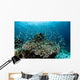 Damselfish Swim above Corals Wall Decal Design 3