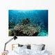 Damselfish Swim above Corals Wall Decal Design 3