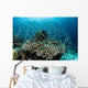 Damselfish Swim above Corals Wall Decal Design 3