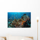 Colorful Anthias Swim above Wall Decal