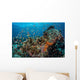 Colorful Anthias Swim above Wall Decal