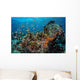 Colorful Anthias Swim above Wall Decal
