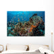 Colorful Anthias Swim above Wall Decal