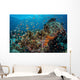 Colorful Anthias Swim above Wall Decal