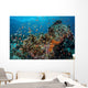 Colorful Anthias Swim above Wall Decal