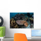 Broadclub Cuttlefish Swims above Wall Decal Design 3