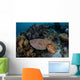 Broadclub Cuttlefish Swims above Wall Decal Design 3