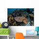 Broadclub Cuttlefish Swims above Wall Decal Design 3