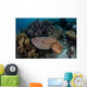 Broadclub Cuttlefish Swims above Wall Decal Design 3