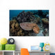 Broadclub Cuttlefish Swims above Wall Decal Design 3
