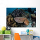 Broadclub Cuttlefish Swims above Wall Decal Design 3