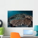 Damselfish Swim above Corals Wall Decal Design 2
