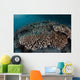 Damselfish Swim above Corals Wall Decal Design 2