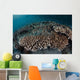 Damselfish Swim above Corals Wall Decal Design 2