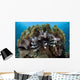 Lionfish Swims Reef Komodo Wall Decal Design 2