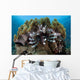 Lionfish Swims Reef Komodo Wall Decal Design 2