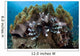 Lionfish Swims Reef Komodo Wall Decal Design 2