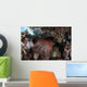 Crown-of-thorns Starfish Feeds Corals Wall Decal