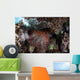 Crown-of-thorns Starfish Feeds Corals Wall Decal