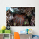 Crown-of-thorns Starfish Feeds Corals Wall Decal