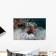 Lionfish Swims Reef Komodo Wall Decal Design 1