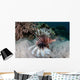 Lionfish Swims Reef Komodo Wall Decal Design 1