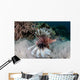 Lionfish Swims Reef Komodo Wall Decal Design 1