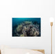 Cardinalfish Swimming above Soft Wall Decal