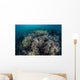 Cardinalfish Swimming above Soft Wall Decal
