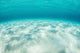 Bright Sunlight across Seafloor Wall Decal