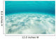 Bright Sunlight across Seafloor Wall Decal