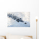 Large American Crocodile Surfaces Wall Decal Design 4