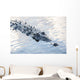 Large American Crocodile Surfaces Wall Decal Design 4