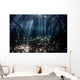 Beams Sunlight Filter among Wall Decal Design 3
