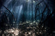 Beams Sunlight Filter among Wall Decal Design 3