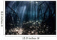 Beams Sunlight Filter among Wall Decal Design 3