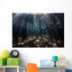 Beams Sunlight Filter among Wall Decal Design 2
